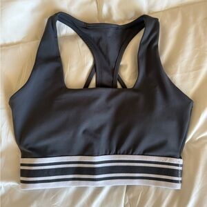 BuffBunny Gray Assassin Bra